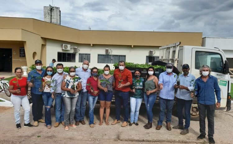  Ismael Crispin prestigia entrega de mudas de café em Seringueiras