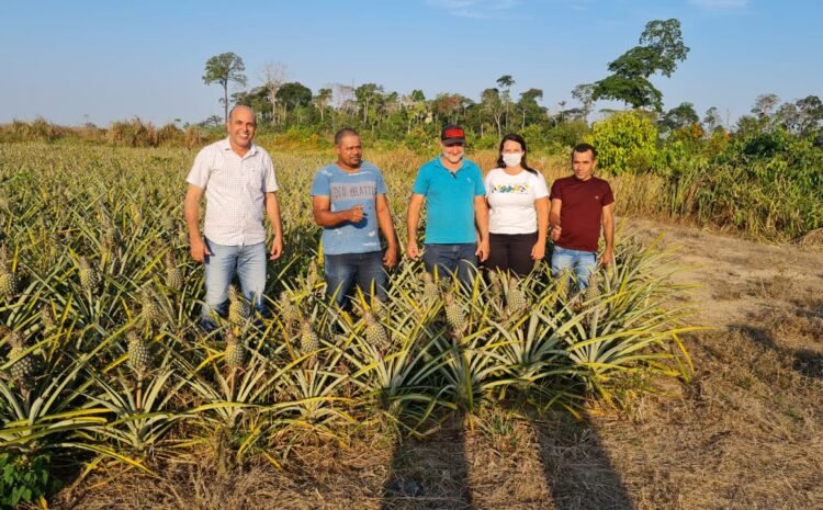  Cujubim ganha título de Capital do Abacaxi