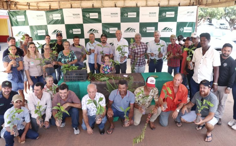  Deputado Ismael Crispin realiza entrega de mudas de Café em São Francisco do Guaporé